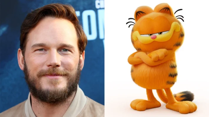 Cùng Tìm Hiểu Mèo Garfield Là Giống Mèo Gì ?