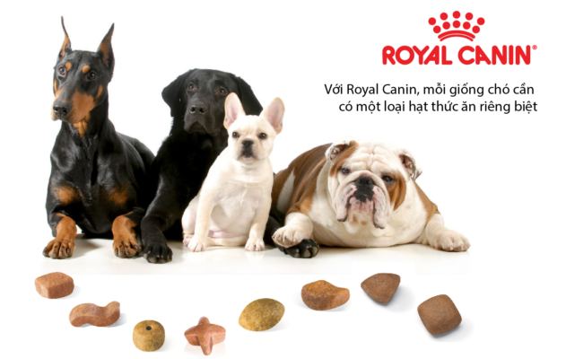 thương hiệu Royal Canin